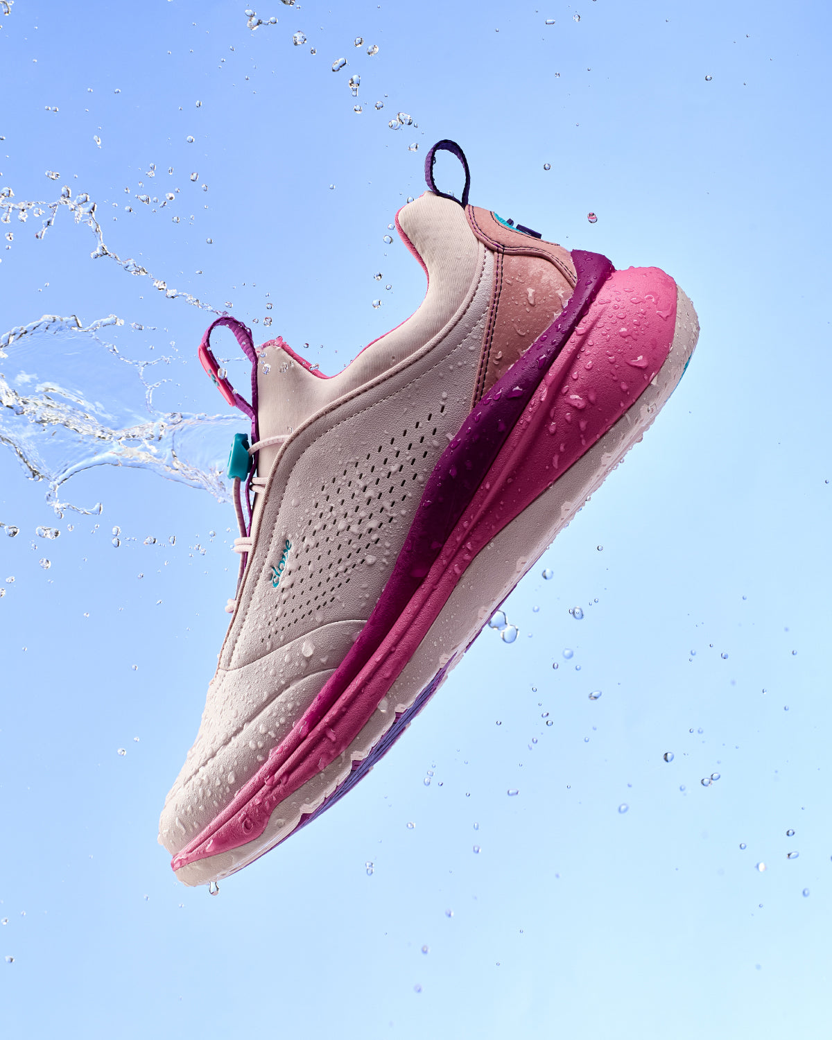 Clove Prima - Light Pink Violet