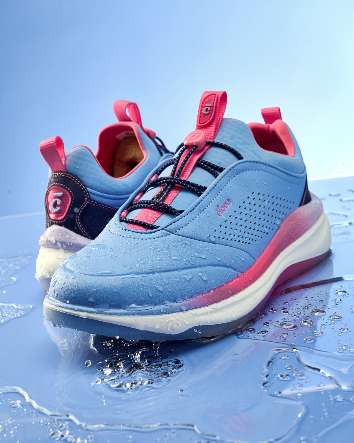 Clove Prima - Vista Blue Pink