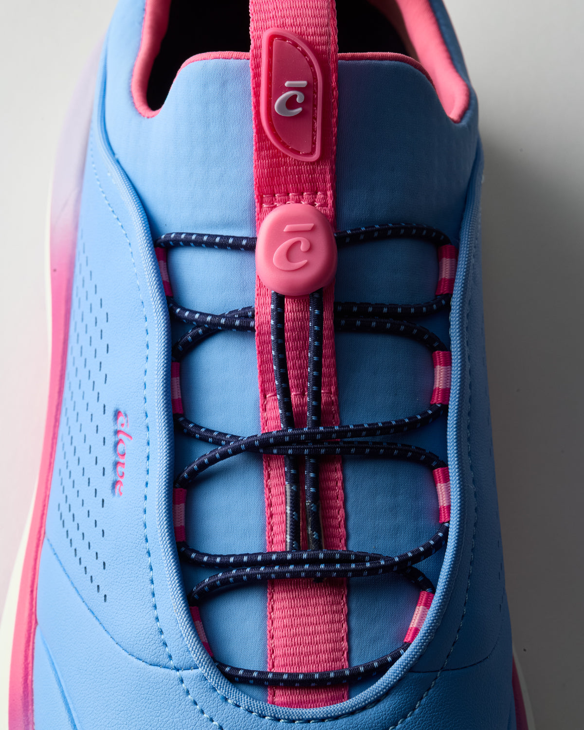 Clove Prima - Vista Blue Pink